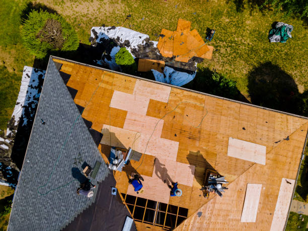 Best Shingle Roofing Installation  in USA